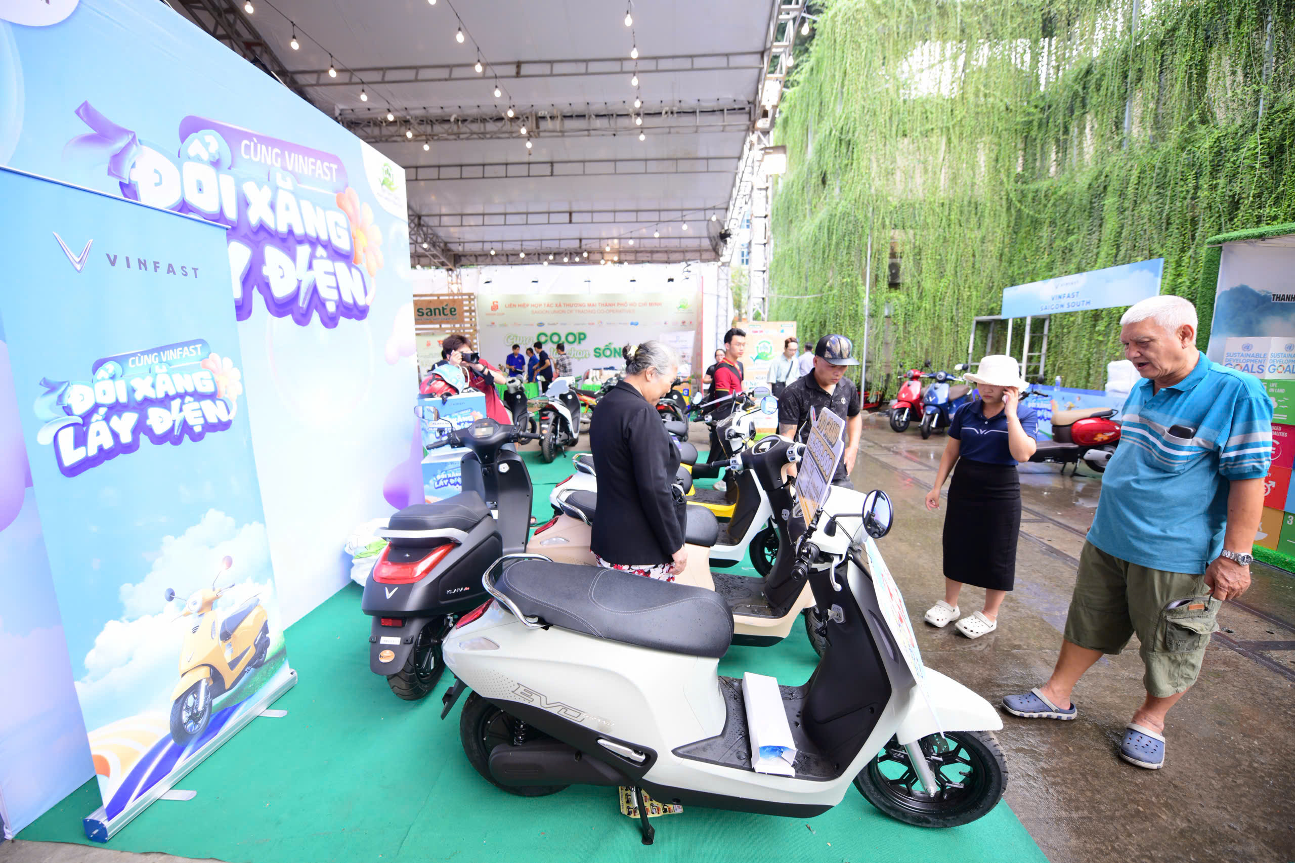 Việt Nam xanh - Ảnh 1.