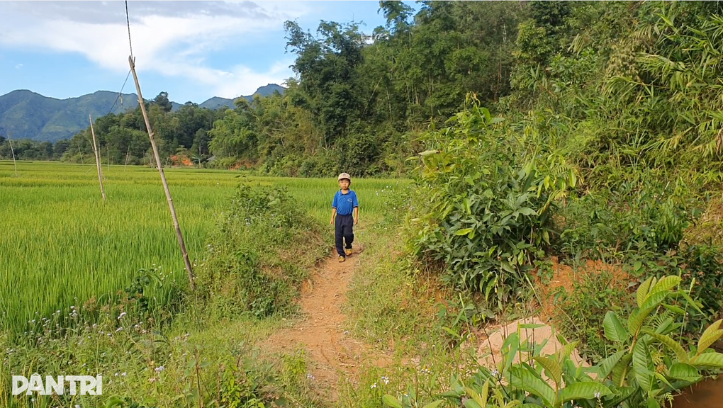 Chồng u bướu, con bệnh hiểm, người phụ nữ chăn bò thuê gồng gánh gia đình - 2