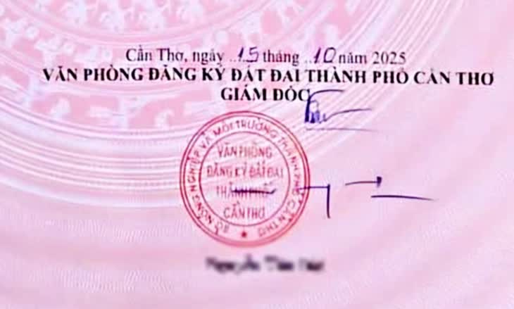 Chữ ký phải đẹp, phải khác nét gạch, không thể toàn nét ngang nét dọc? - Ảnh 1.