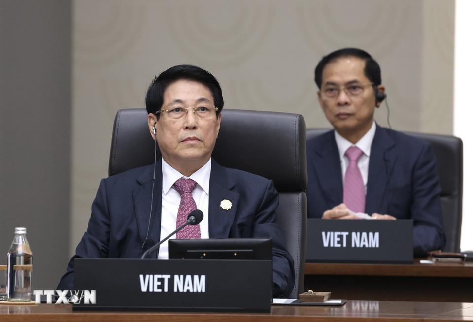 Chủ tịch nước - Ảnh 1.