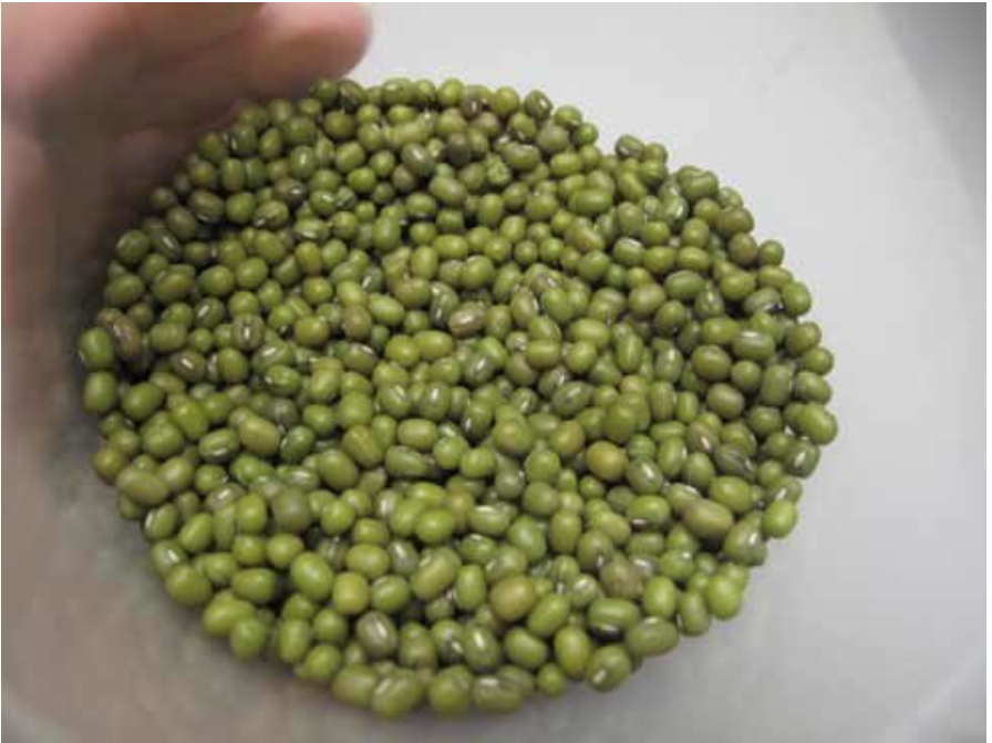 bữa ăn - Ảnh 1.