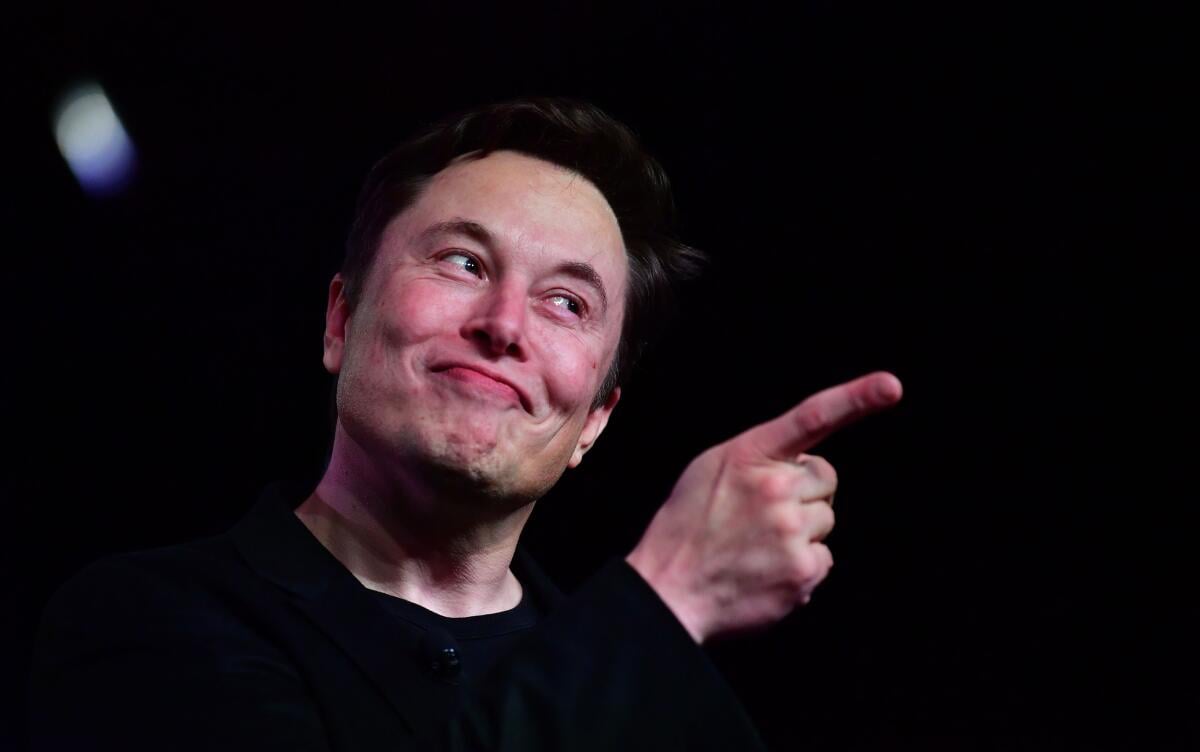 Elon Musk - Ảnh 1.