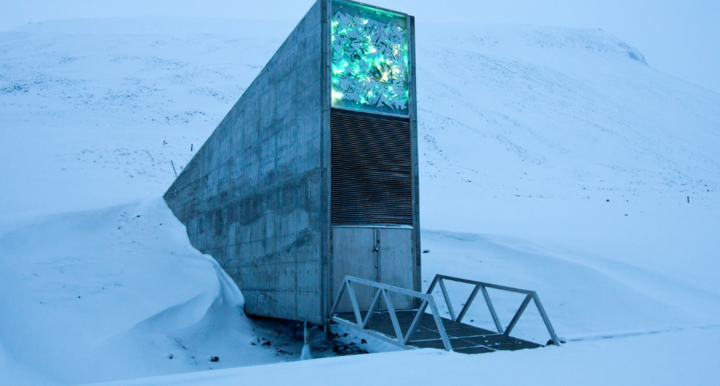 Có gì trong những căn hầm tận thế bí mật nhất hành tinh?- Ảnh 1.