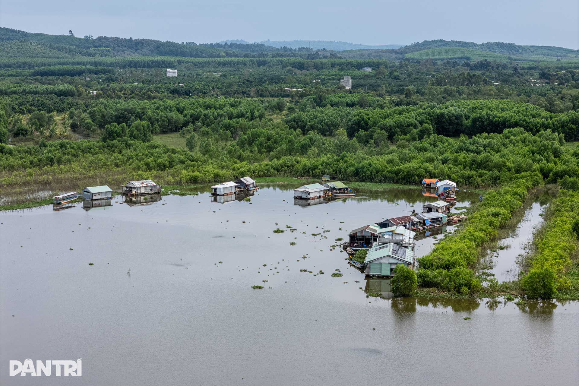 Cô giáo của những đứa trẻ “ba không” giữa lòng hồ Trị An - 1