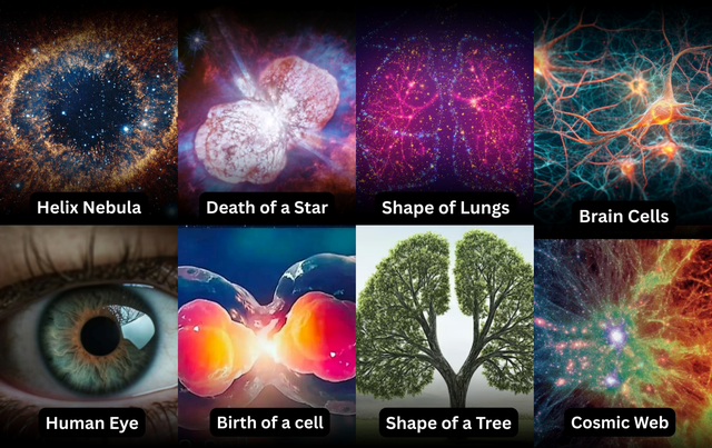 Có người nói vũ trụ chỉ là một tế bào sinh học, khoa học nói gì về giả thuyết gây sốc này?- Ảnh 5.