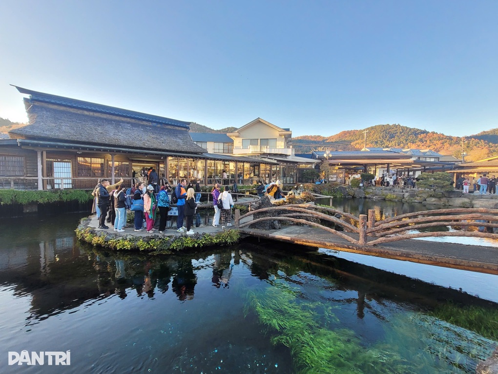 Con đường lá đỏ ở Nhật Bản hút khách săn ảnh núi Phú Sĩ soi bóng - 3