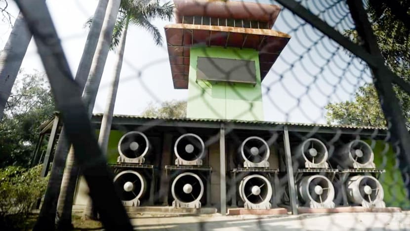 74/100: Con số kinh hoàng tại Ấn Độ- Ảnh 1.