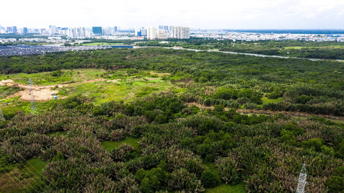 Quốc Cường Gia Lai - Ảnh 1.