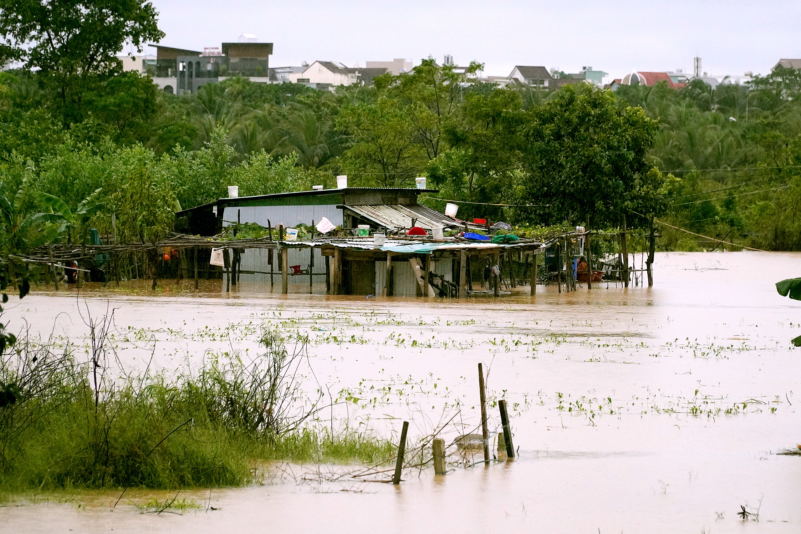 Đà Nẵng - Ảnh 1.