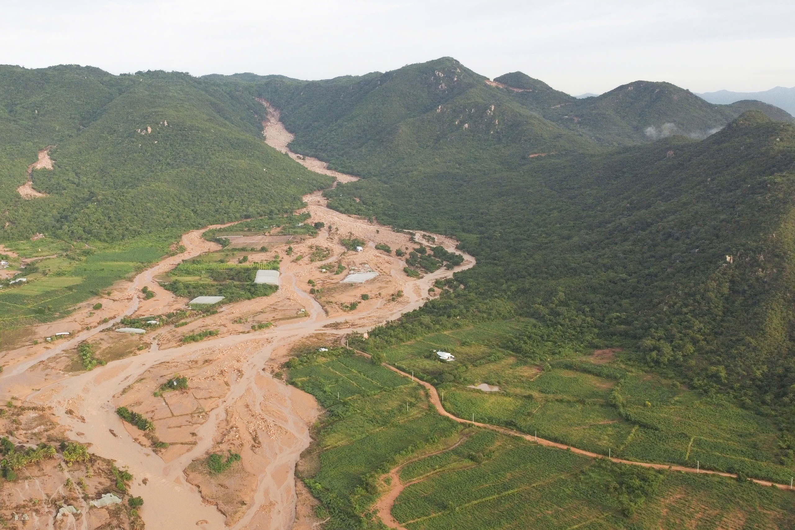 - Ảnh 1. - Ảnh 1.