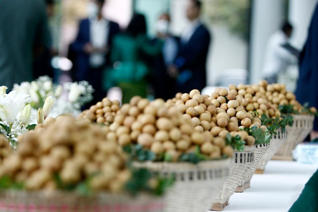 Đặc sản triệu đô của Việt Nam được Trung Quốc siêu mê, mệnh danh là 