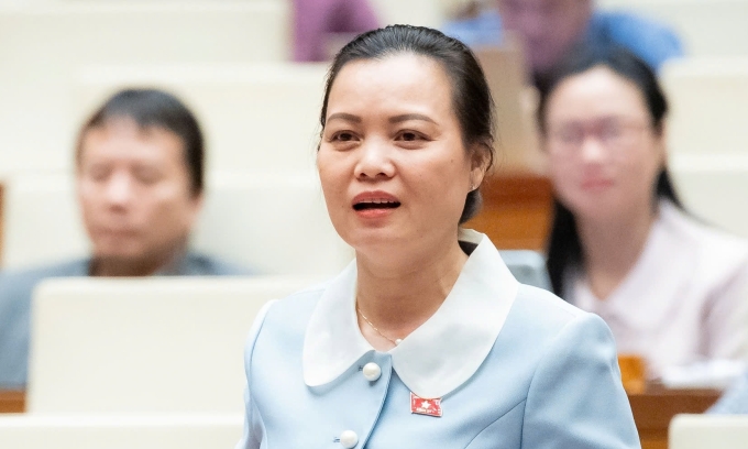 Bà Huỳnh Thị Phúc, Phó trưởng đoàn đại biểu TP HCM phát biểu hôm 12/11. Ảnh: Media Quốc hội