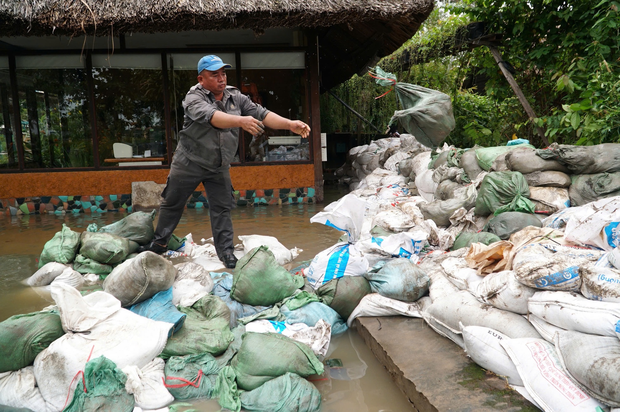 Dân TP.HCM 'nhẹ người' vì nắng ấm- Ảnh 1. Dân TP.HCM 'nhẹ người' vì nắng ấm- Ảnh 1.