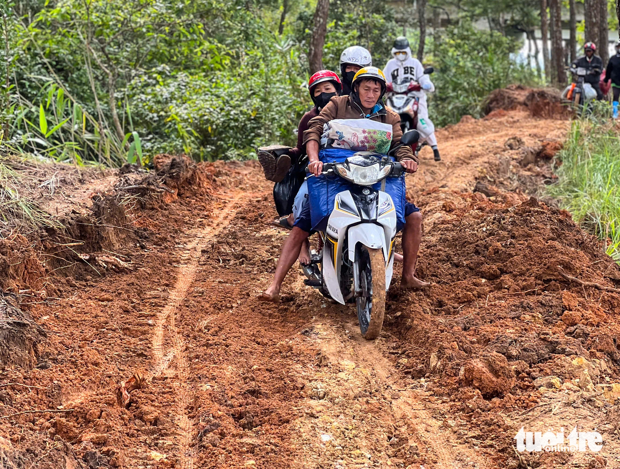 Đà Lạt - Ảnh 1.