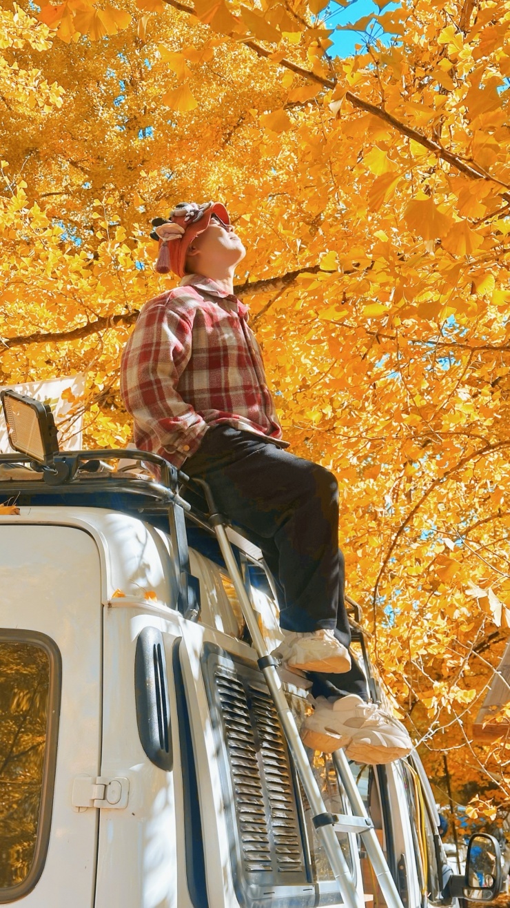 Đằng Xung mùa lá bạch quả vàng, đẹp như chốn bồng lai - 1