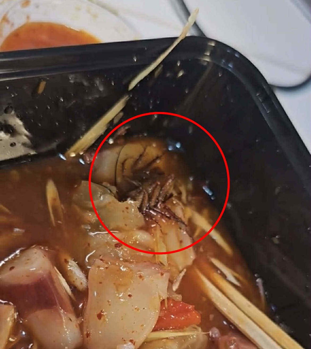 Đặt suất gân bò về nhà, khách ở TPHCM hốt hoảng thấy gián trong đồ ăn - 1