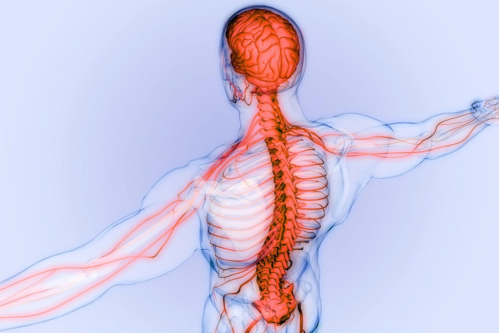 Bước tiến mới từ điện quang can thiệp chữa đau thần kinh dai dẳng - 3