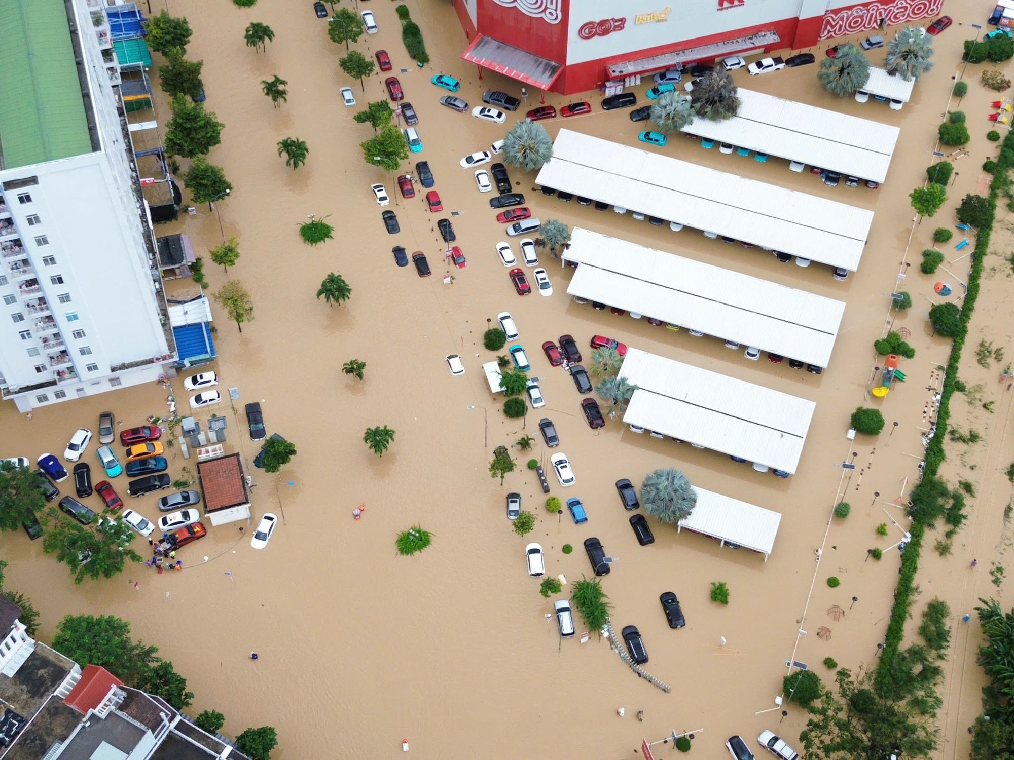 Lũ lịch sử tại miền Trung: Đi ngược quy luật, hiếm gặp trong 50 năm- Ảnh 1.