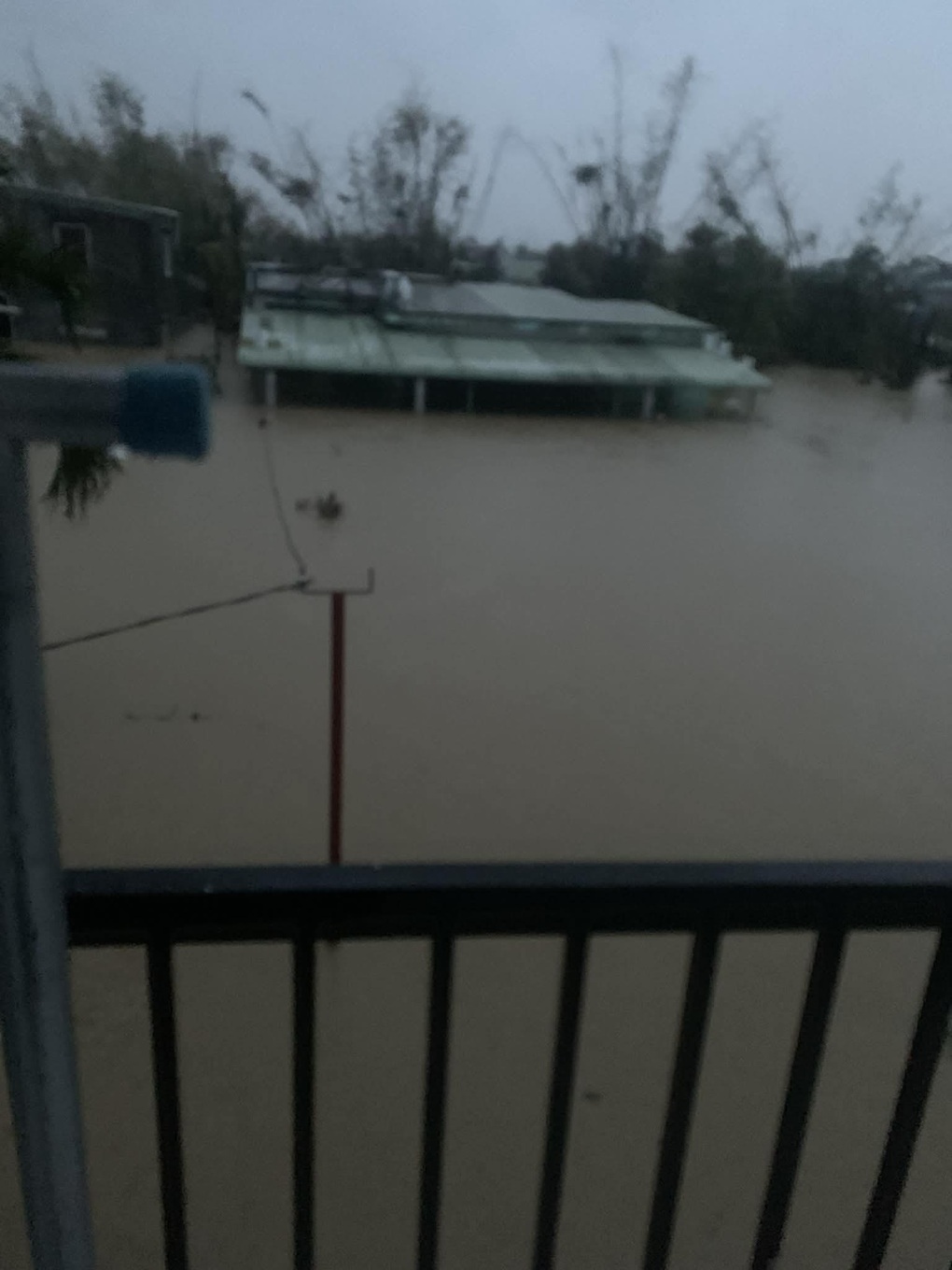 Diễn viên “Mưa đỏ cầu cứu vì bố mẹ mắc kẹt trong vùng lũ, mất liên lạc - 1