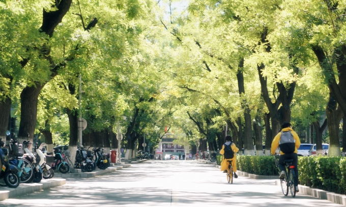 Khuôn viên Đại học Bắc Kinh, Trung Quốc, giữa tháng 9/2025. Ảnh: Peking University Fanpage