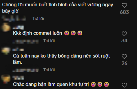 Điều netizen tò mò nhất lúc này về Đỗ Hà sau khi lấy thiếu gia tập đoàn Sơn Hải- Ảnh 1.