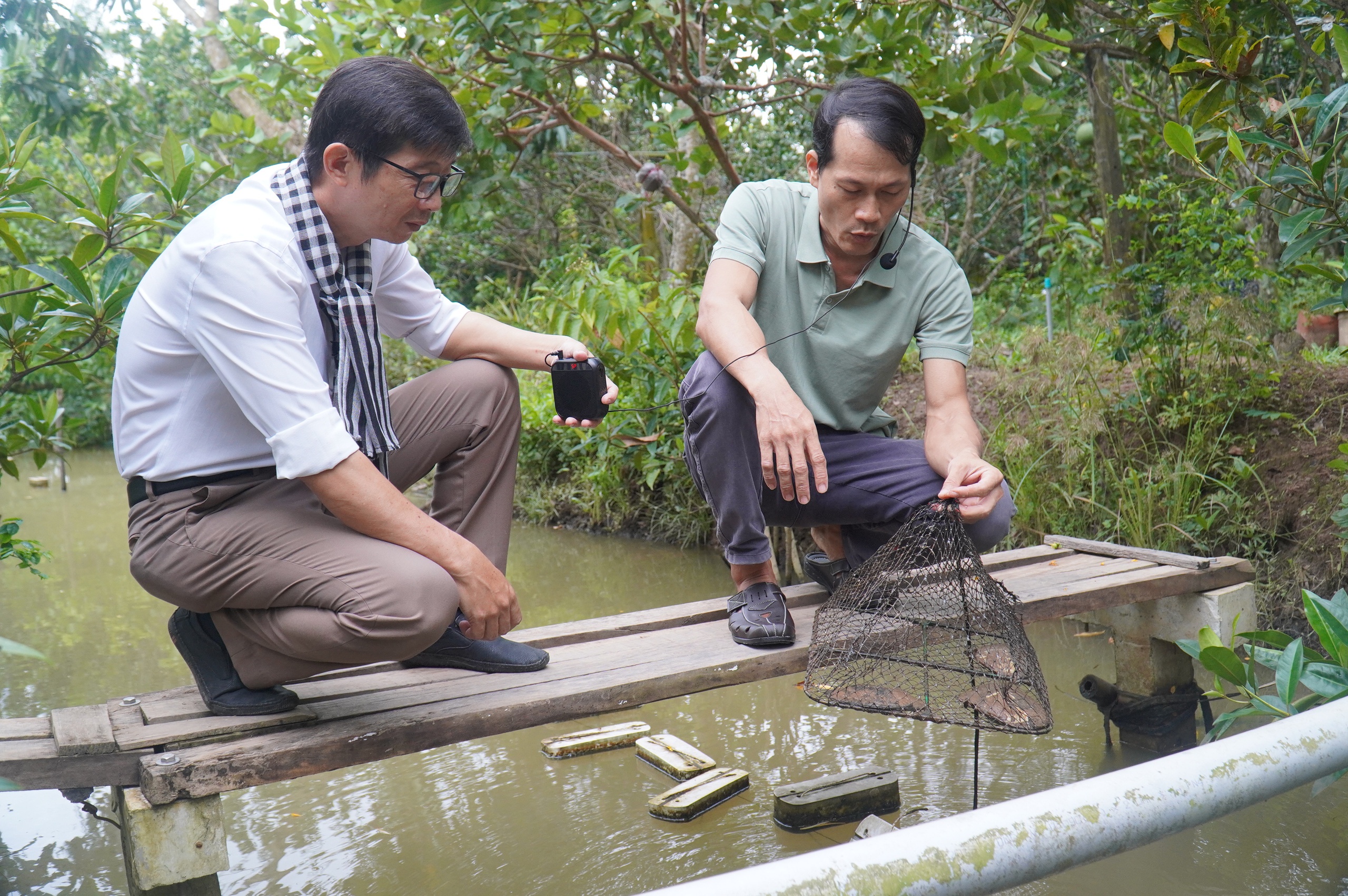 Độc đáo mô hình nuôi trai nước ngọt lấy ngọc kết hợp du lịch trên cù lao Thới Sơn - Ảnh 1.