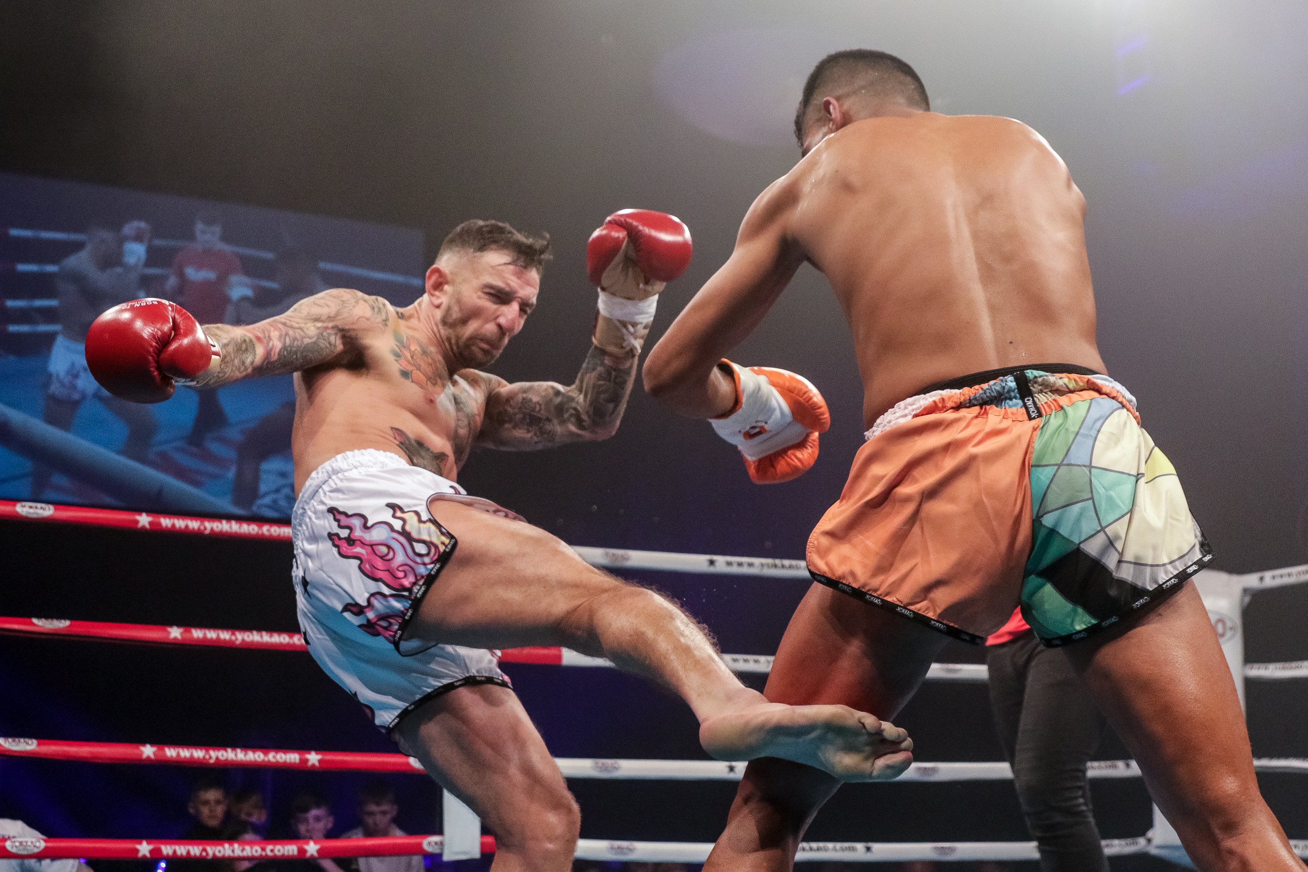 võ đài - Ảnh 1.