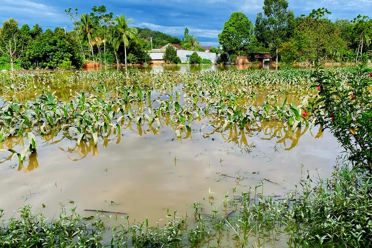 Đồng Nai đề nghị Lâm Đồng phối hợp cung cấp thông tin xả lũ các hồ thủy điện - Ảnh 1.