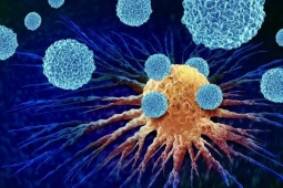 7 thói quen giúp bạn tránh xa ung thư