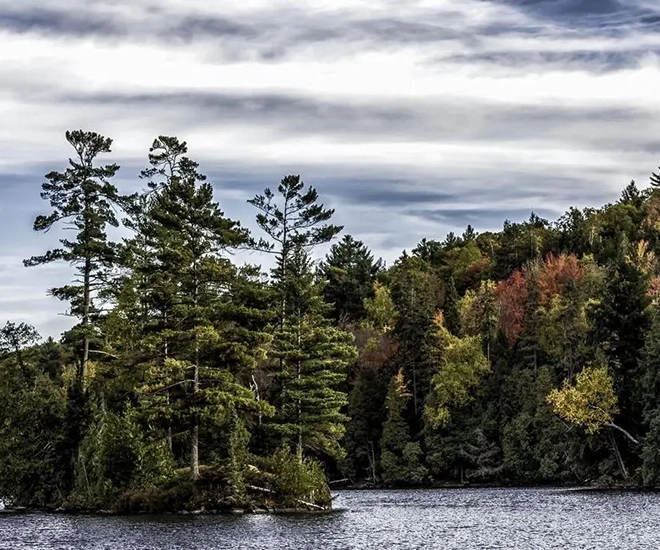 Dù giàu hay không, có 3 loại quà người khôn ngoan nhất định không nhận - 1