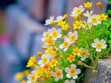 Bạn có tiền hay không, nhìn là biết: Người càng giàu có, càng thích làm 3 điều này