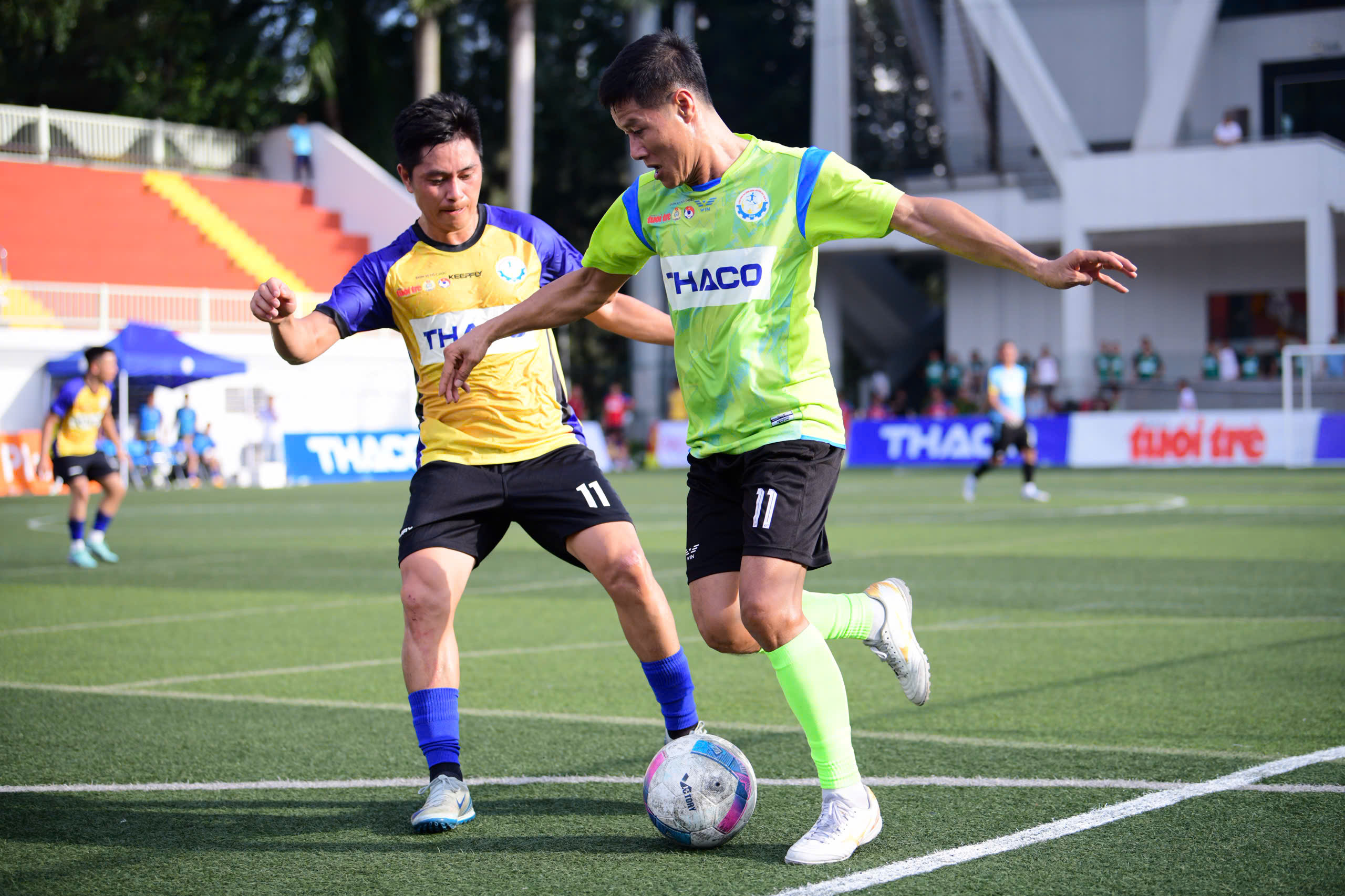 dây chằng - Ảnh 1.