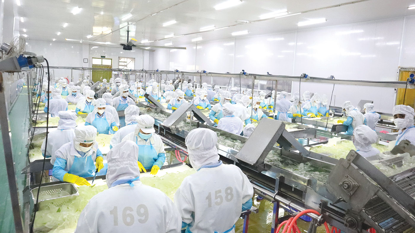 GC Food chọn lối đi bền vững để vươn ra toàn cầu 1 GC Food chọn lối đi bền vững để vươn ra toàn cầu - Ảnh 1.