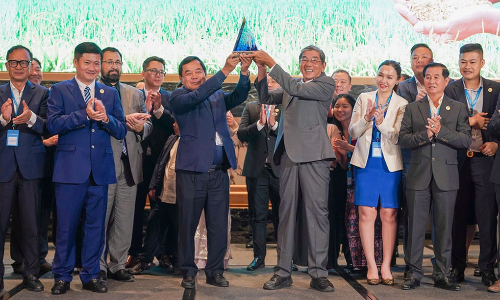 Gạo Việt chuyển mình mạnh mẽ từ giá rẻ sang cao cấp - 1