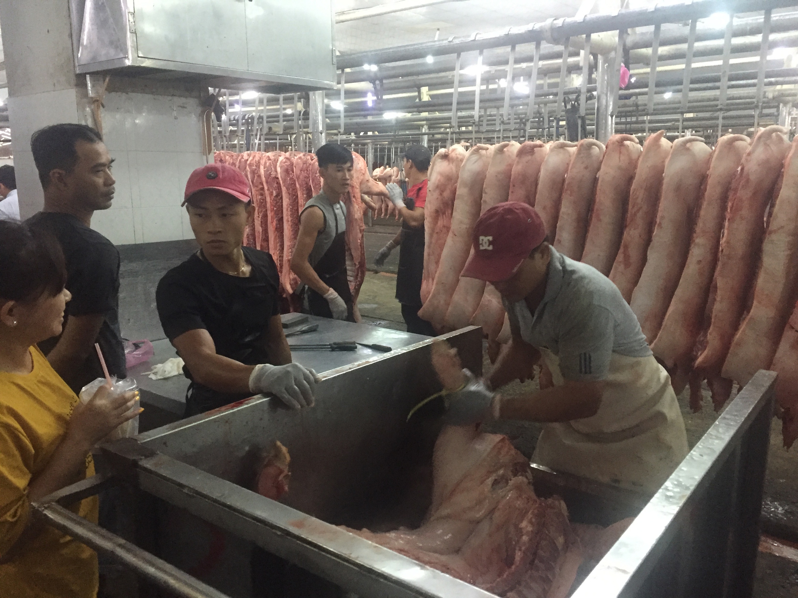 Giá heo cuối năm khó tăng đột biến - Ảnh 1.