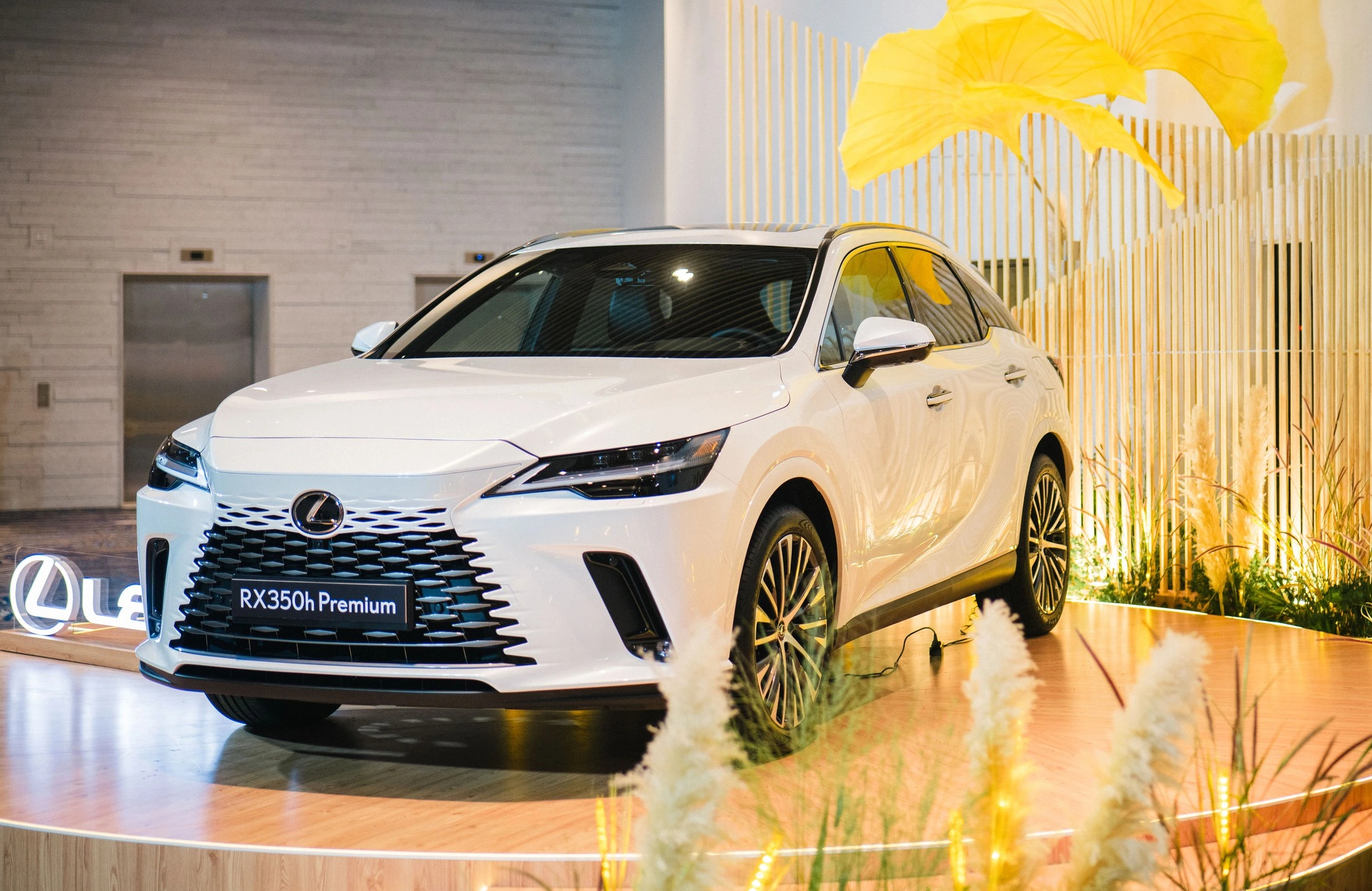 Giải mã bí mật thành công của Lexus - Ảnh 5.