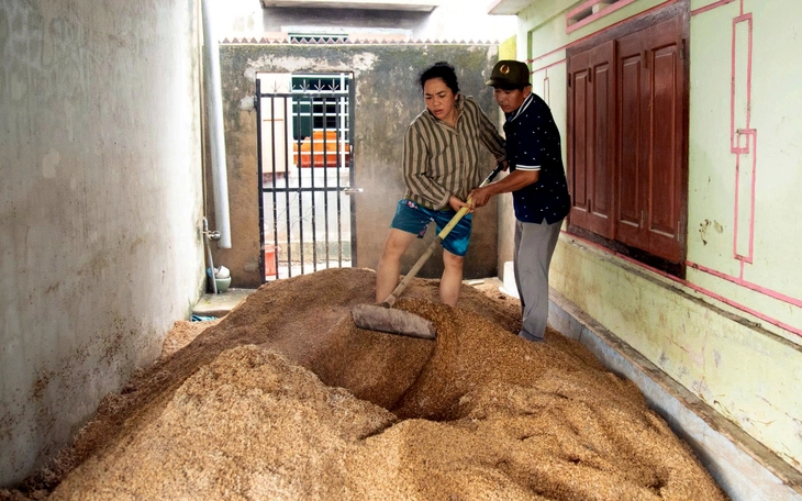 tái thiết - Ảnh 3.