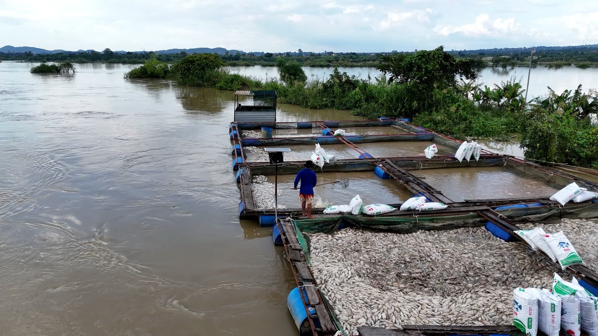 Gượng dậy sau bão Kalmaegi 1 bão kalmaegi - Ảnh 1.