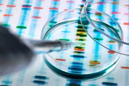 Hy hữu: Cha con cùng trộn tinh trùng, bé trai sinh ra không rõ ai là cha ruột