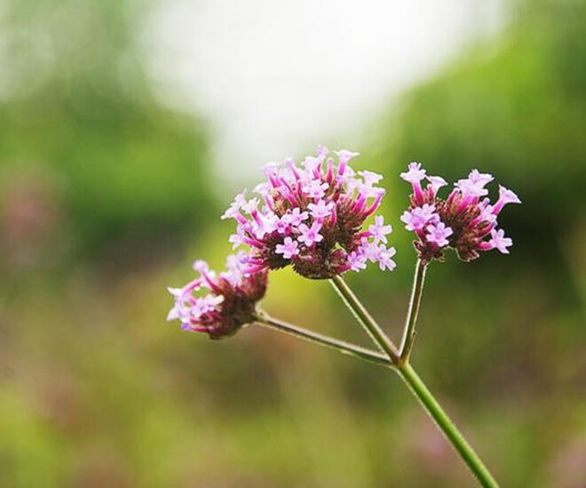 Học cách nói 2 chữ này, cuộc đời sẽ ngày càng suôn sẻ, gặp gỡ những điều tốt đẹp - 1