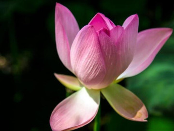 4 vị khách này đến nhà là dấu hiệu cuộc sống của bạn sẽ ngày càng thịnh vượng 3 2 kiểu hàng xóm chớ giao du, 3 kiểu họ hàng chớ gần gũi