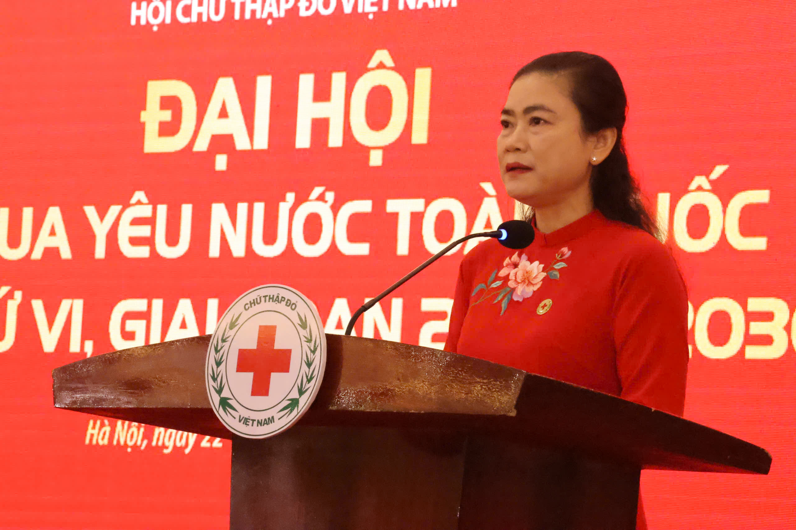 Hội Chữ thập đỏ Việt Nam và sứ mệnh nhân đạo vì con người trong chính trị - Ảnh 1.