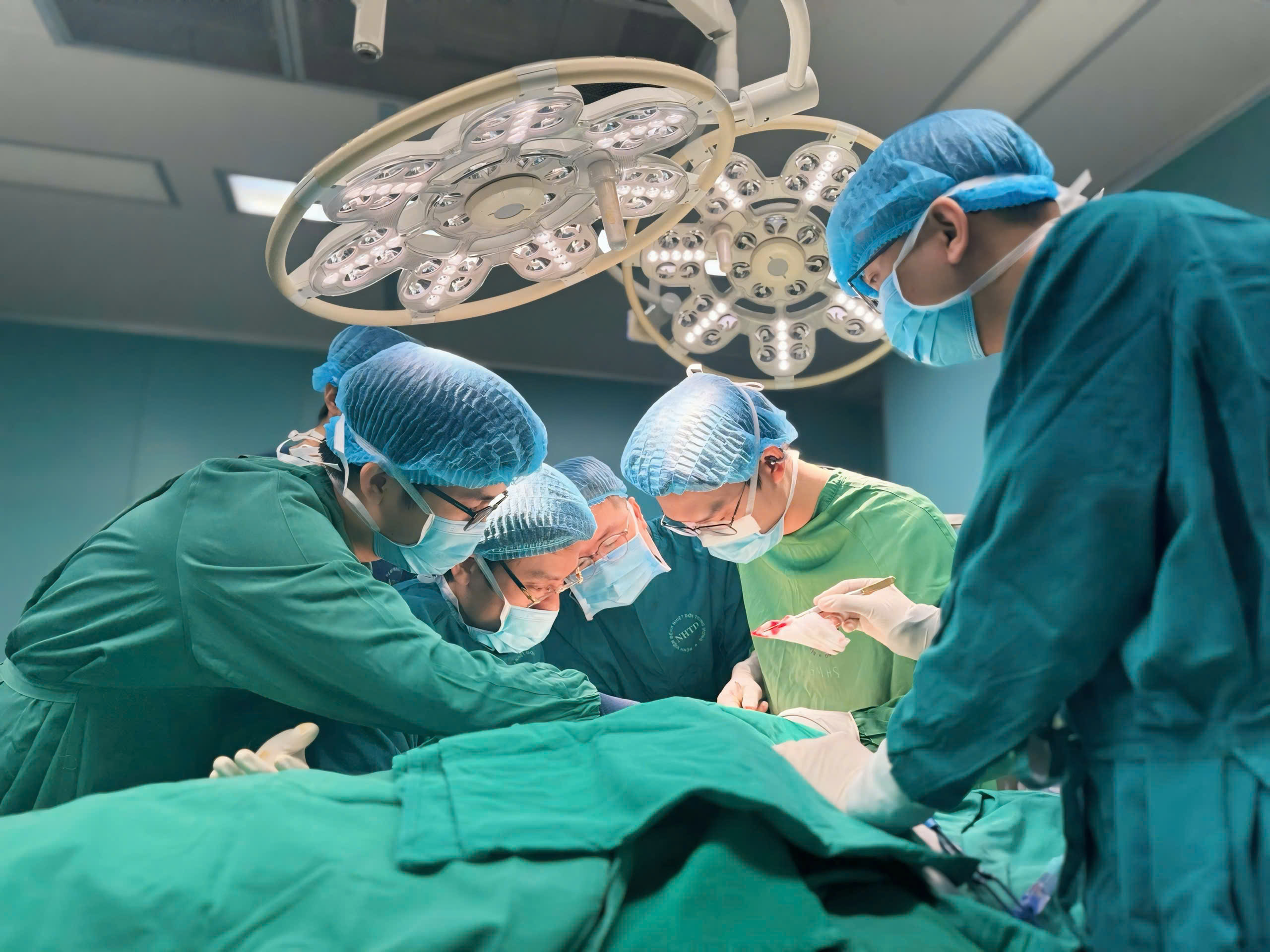 vi phẫu - Ảnh 1.