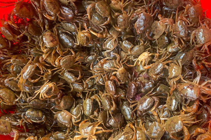 Cua đồng được người dân xã Hưng Nguyên dùng để chế biến thành chả. Ảnh: Đức Hùng