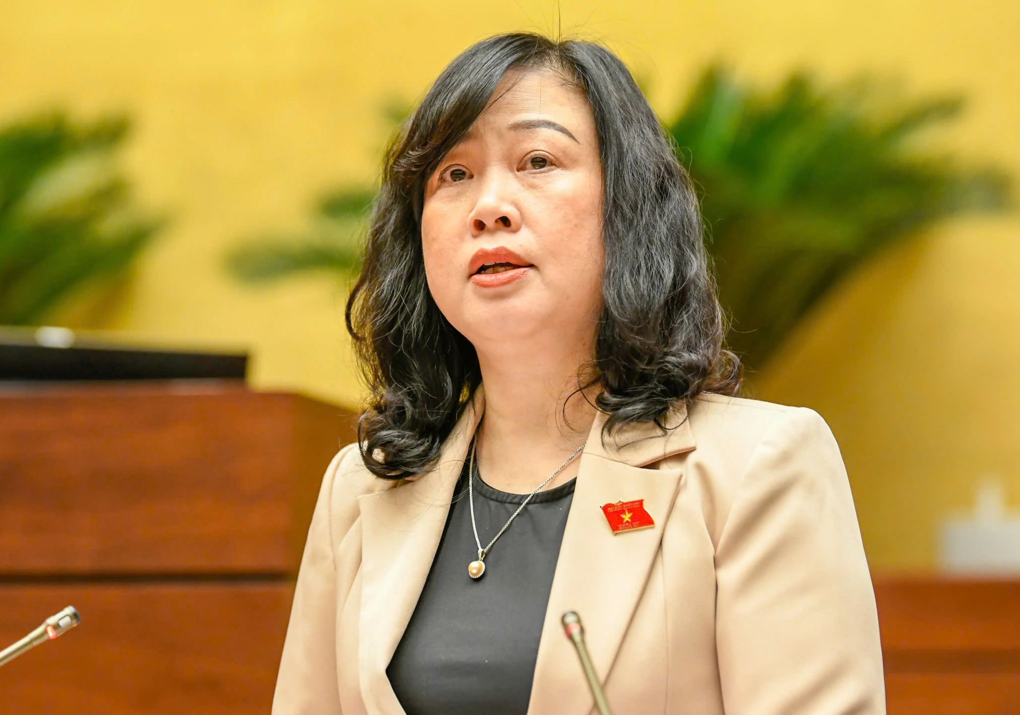 2 Nữ thành viên Chính phủ được giới thiệu ứng cử ĐBQH khóa XVI - Ảnh 2.