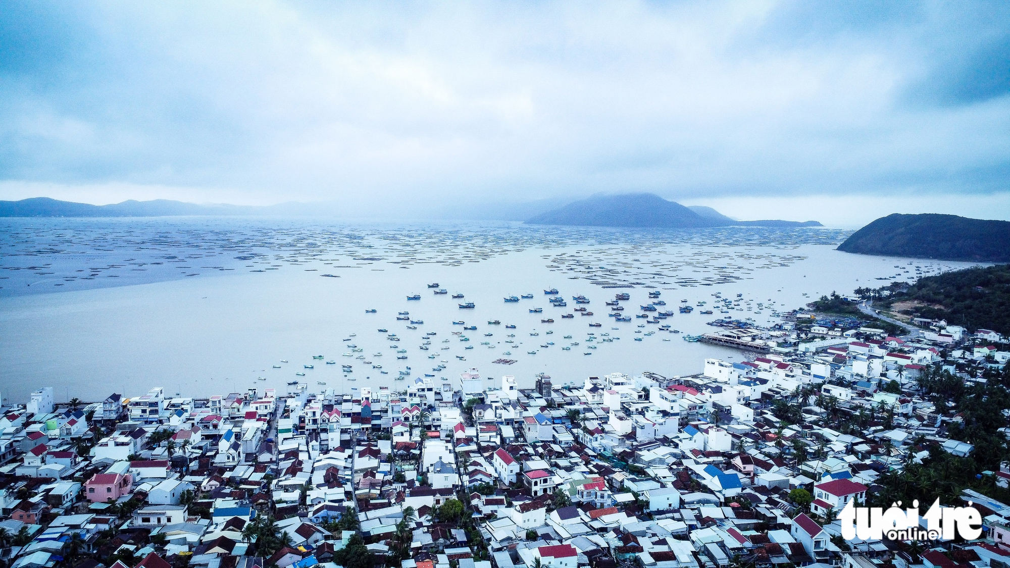 Hơn 3.000 tỉ đồng chìm dưới vịnh Xuân Đài, thủ phủ tôm hùm Sông Cầu tan tác - Ảnh 1.