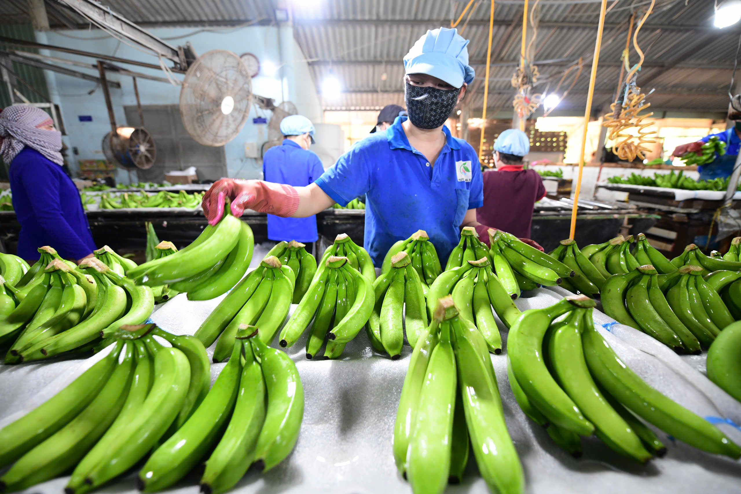 tương lai xanh - Ảnh 1.