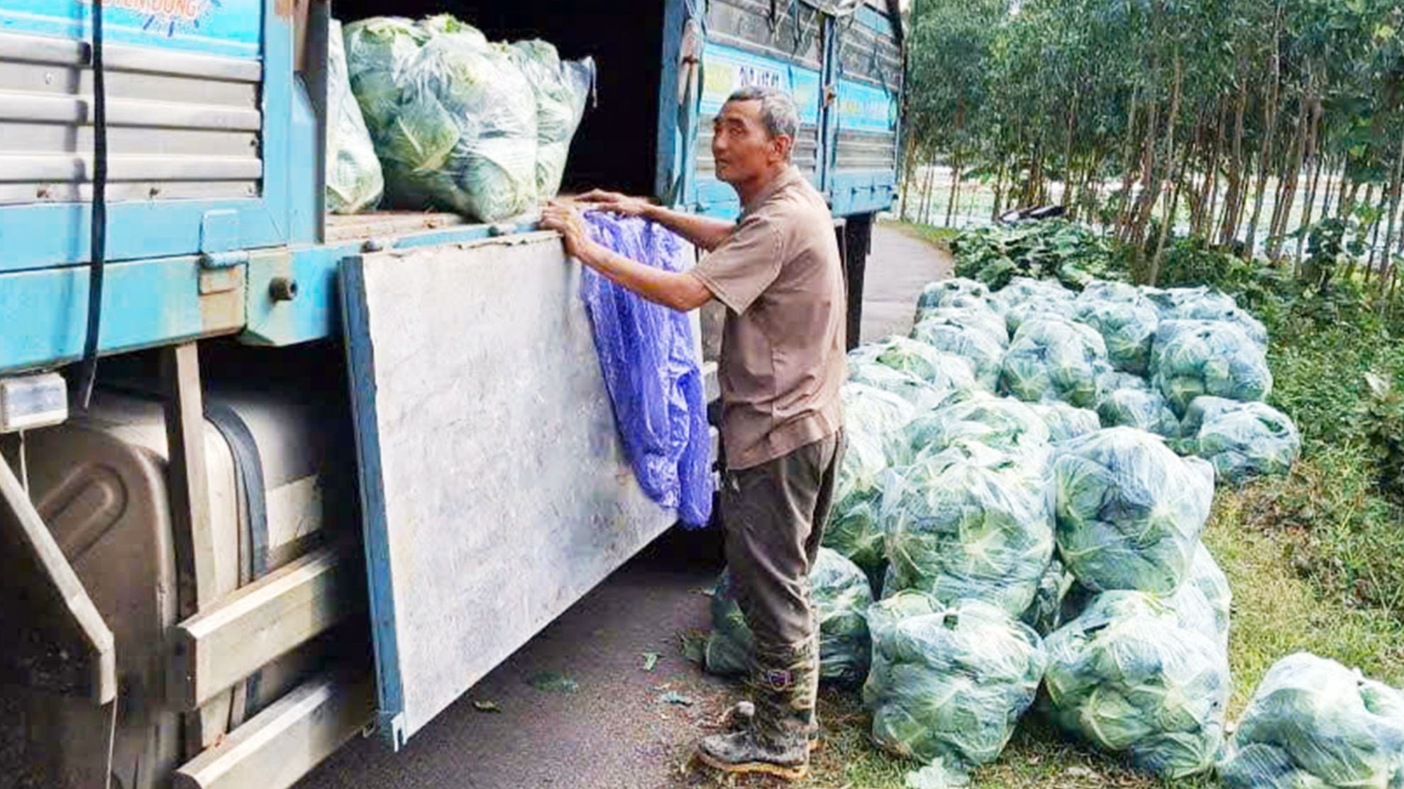 hàng hóa - Ảnh 1.