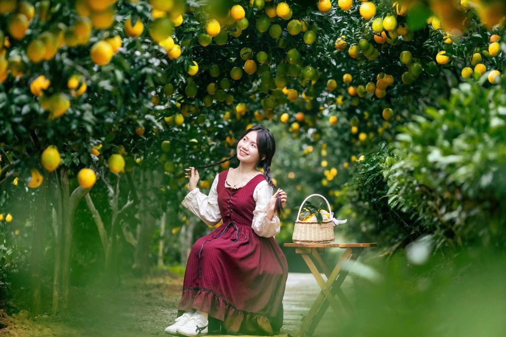 Khách mê hái quả, chụp ảnh, uống cà phê tại vườn khi đi du lịch Sơn La - 1