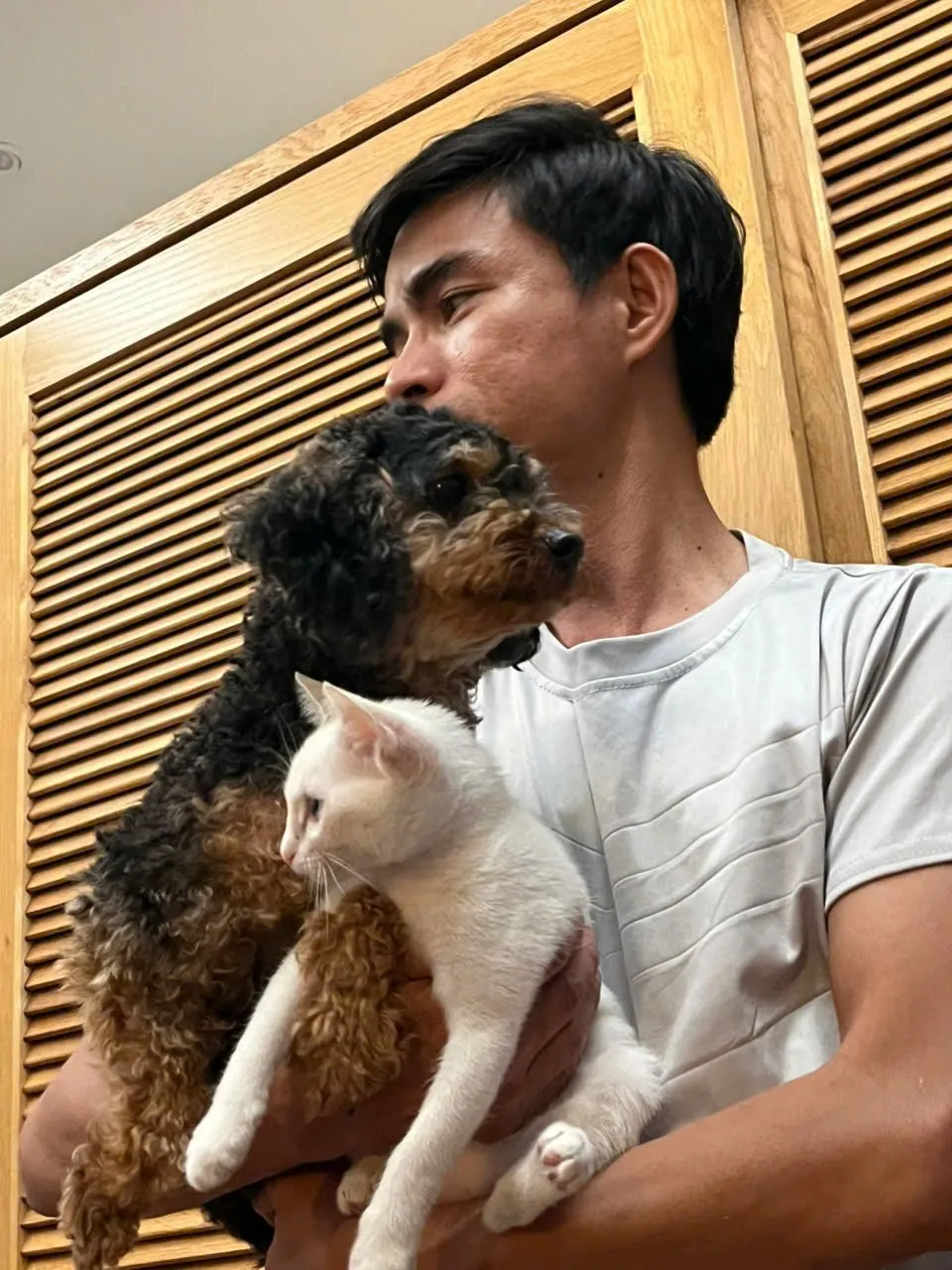 Trong nhiều gia đình, chó, mèo là thành viên thân thiết, mang lại nhiều niềm vui tinh thần. Ảnh: MC 1000040186.jpg